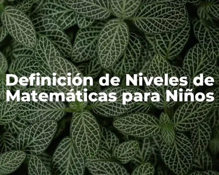 Definición de Niveles de Matemáticas para Niños