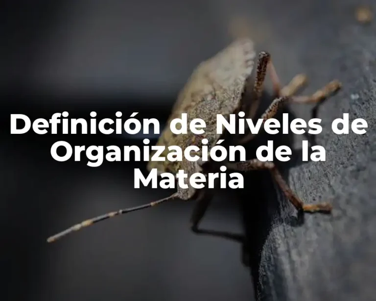 Definición de Niveles de Organización de la Materia