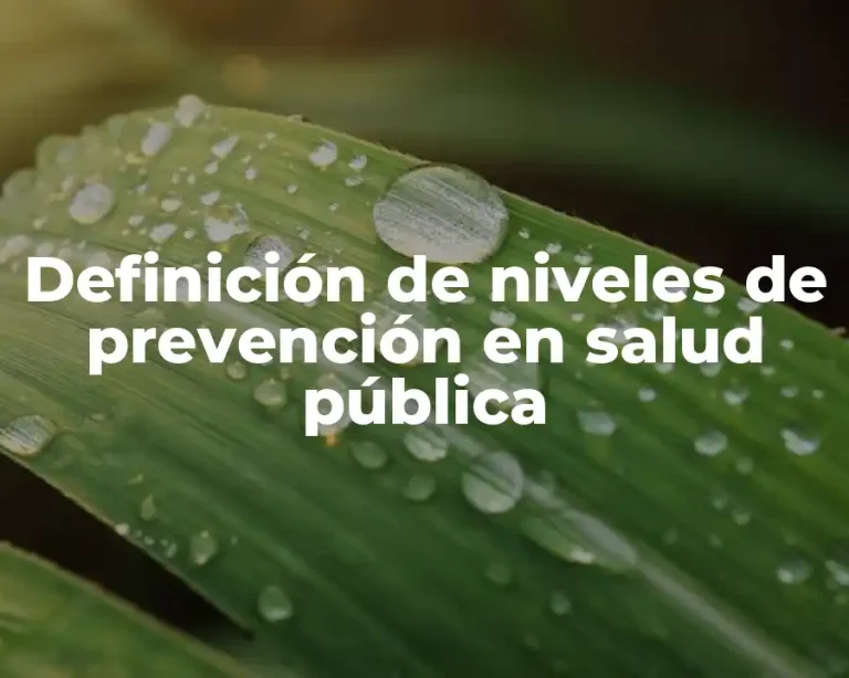 Definición de niveles de prevención en salud pública
