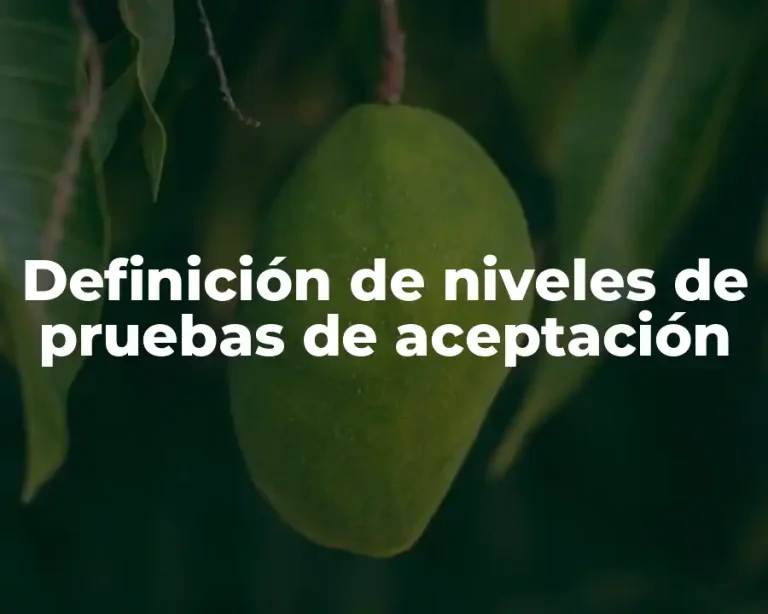 Definición de niveles de pruebas de aceptación