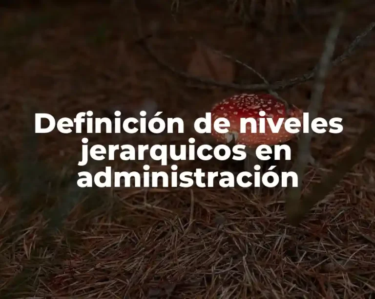 Definición de niveles jerarquicos en administración