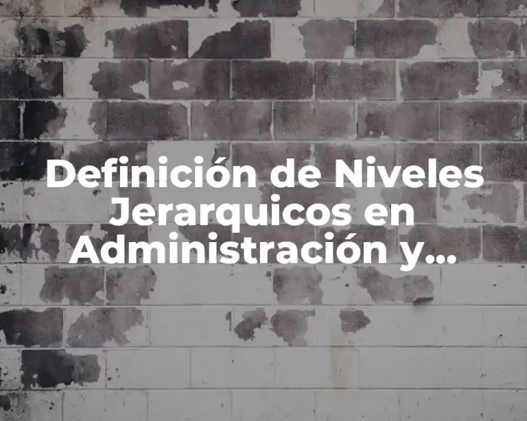 Definición de Niveles Jerarquicos en Administración y Ejemplos