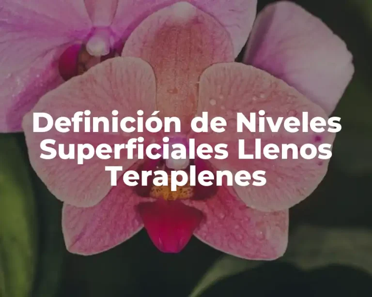 Definición de Niveles Superficiales Llenos Teraplenes