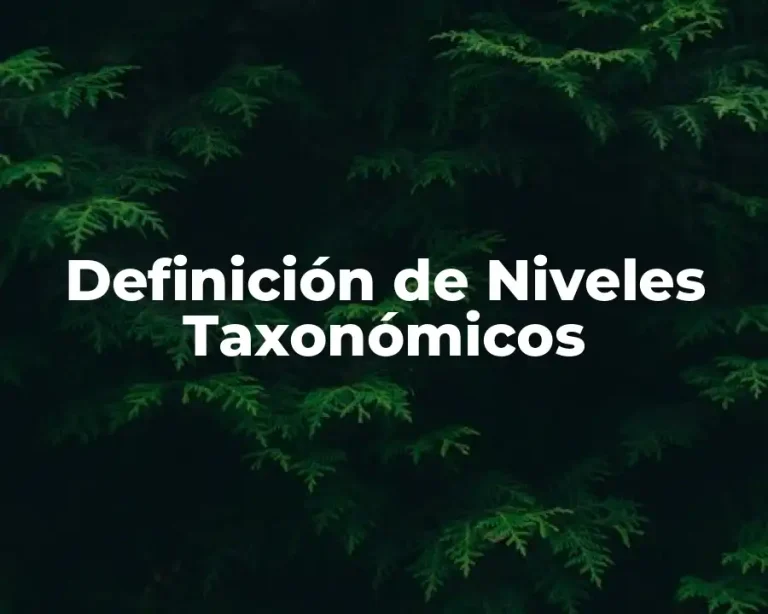 Definición de Niveles Taxonómicos