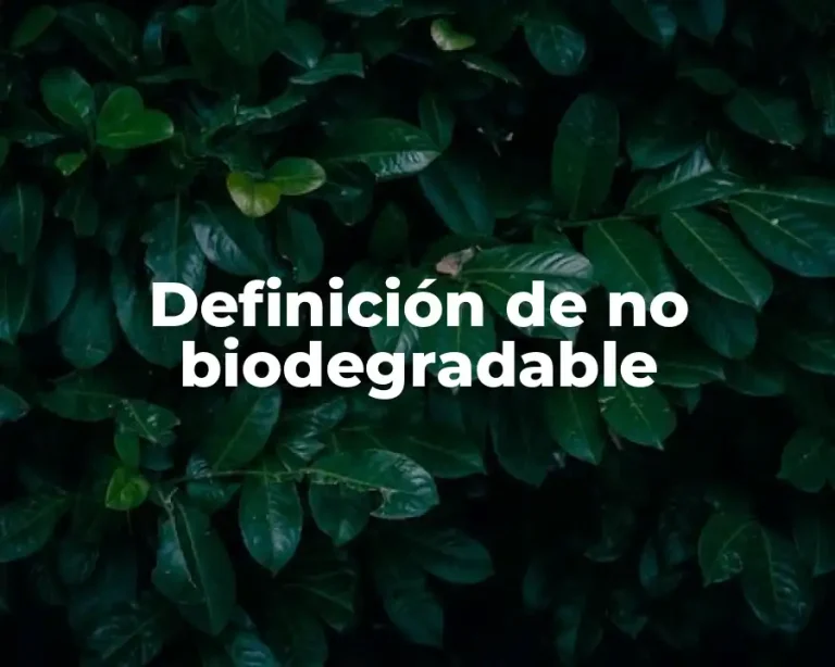Definición de no biodegradable