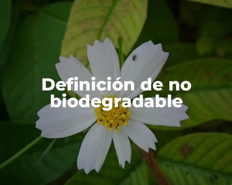 Definición de no biodegradable