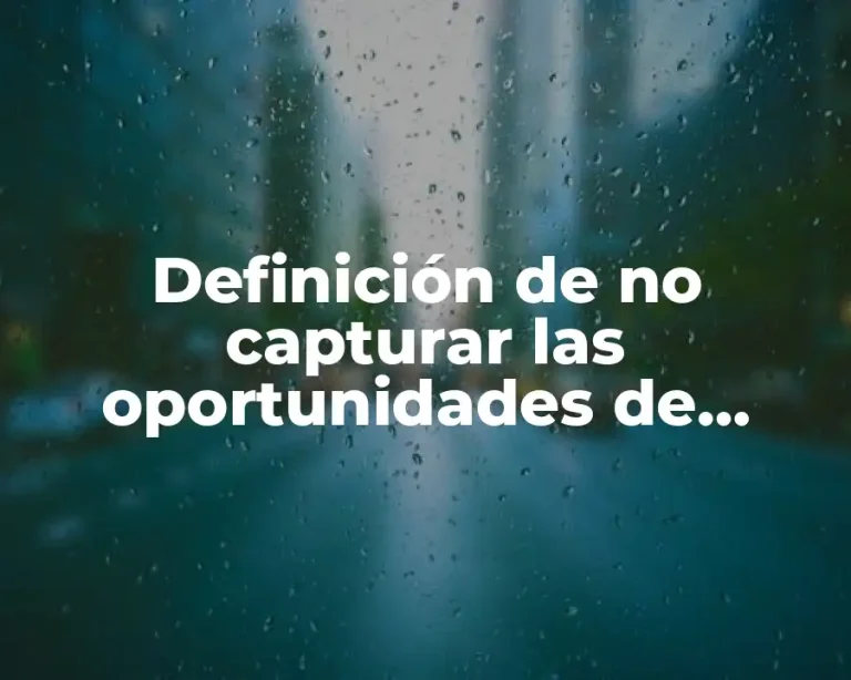 Definición de no capturar las oportunidades de negocio