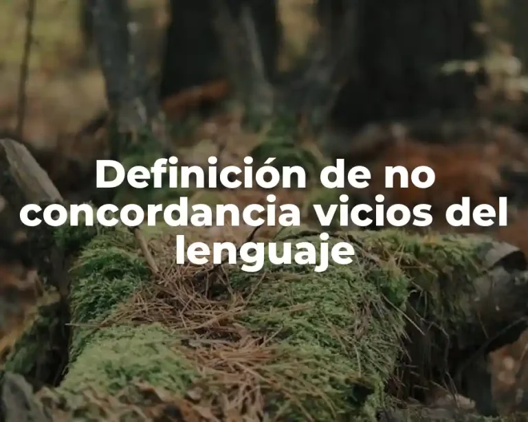 Definición de no concordancia vicios del lenguaje