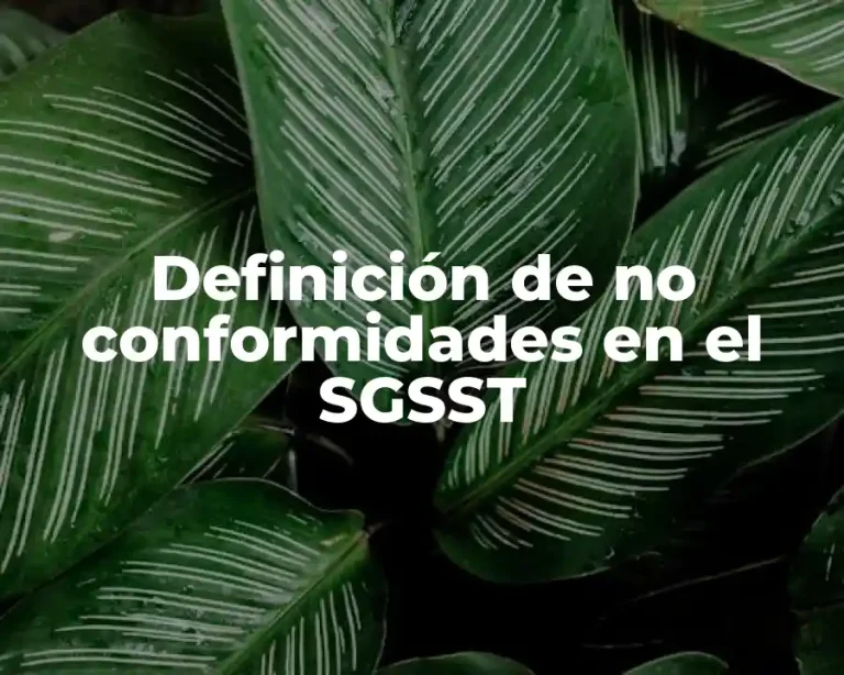 Definición de no conformidades en el SGSST