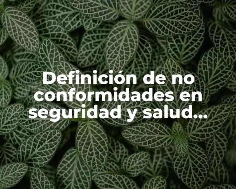 Definición de no conformidades en seguridad y salud ocupacional