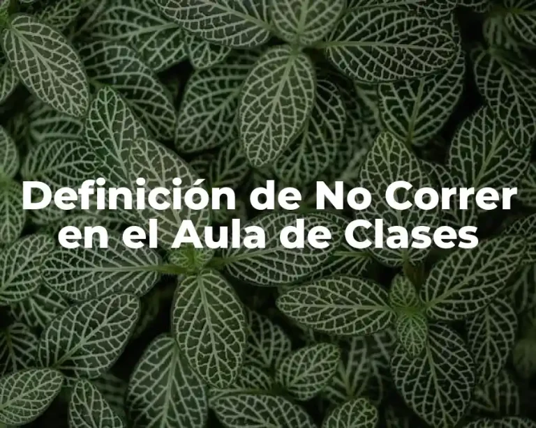 Definición de No Correr en el Aula de Clases