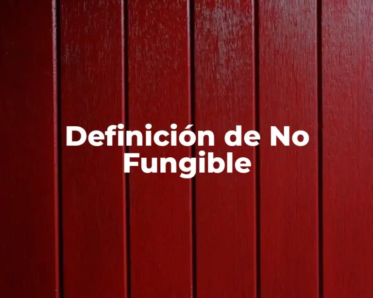 Definición de No Fungible