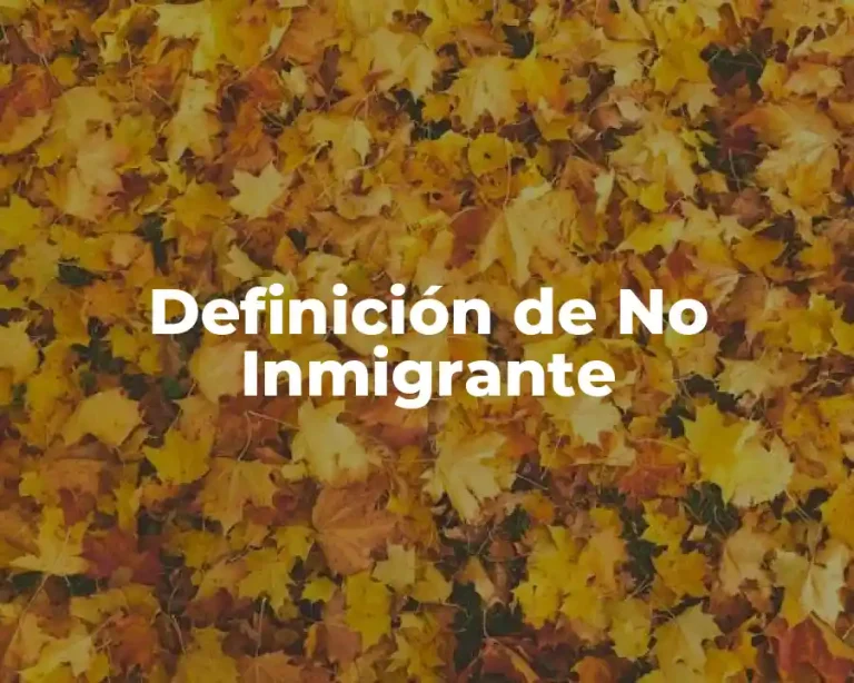 Definición de No Inmigrante