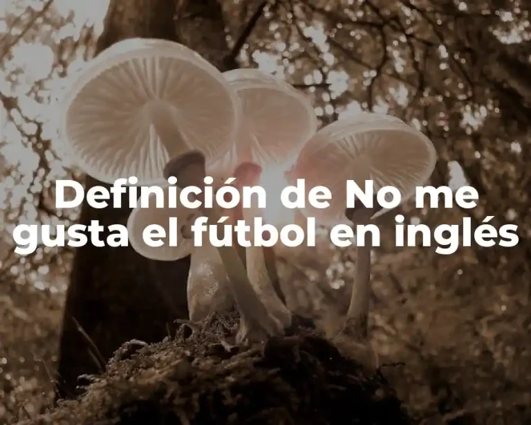Definición de No me gusta el fútbol en inglés