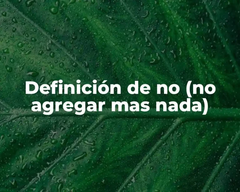 Definición de no (no agregar mas nada)