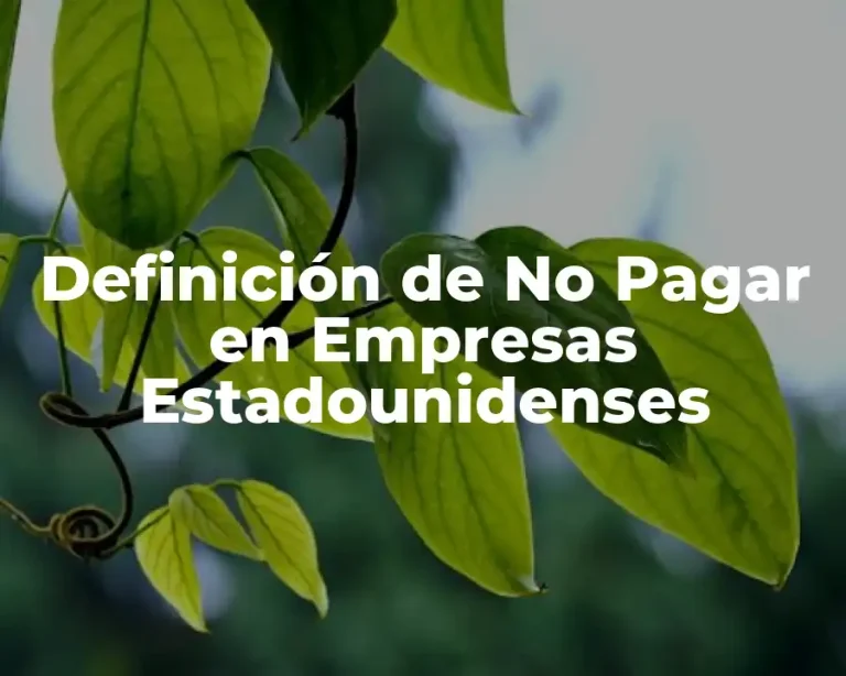 Definición de No Pagar en Empresas Estadounidenses