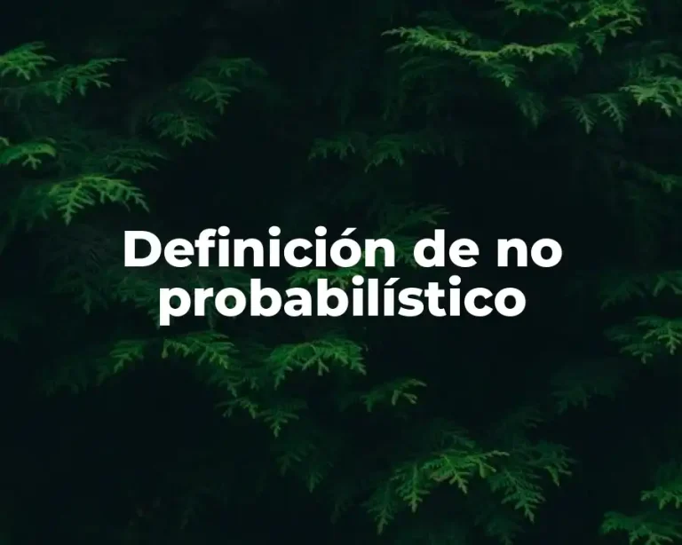 Definición de no probabilístico