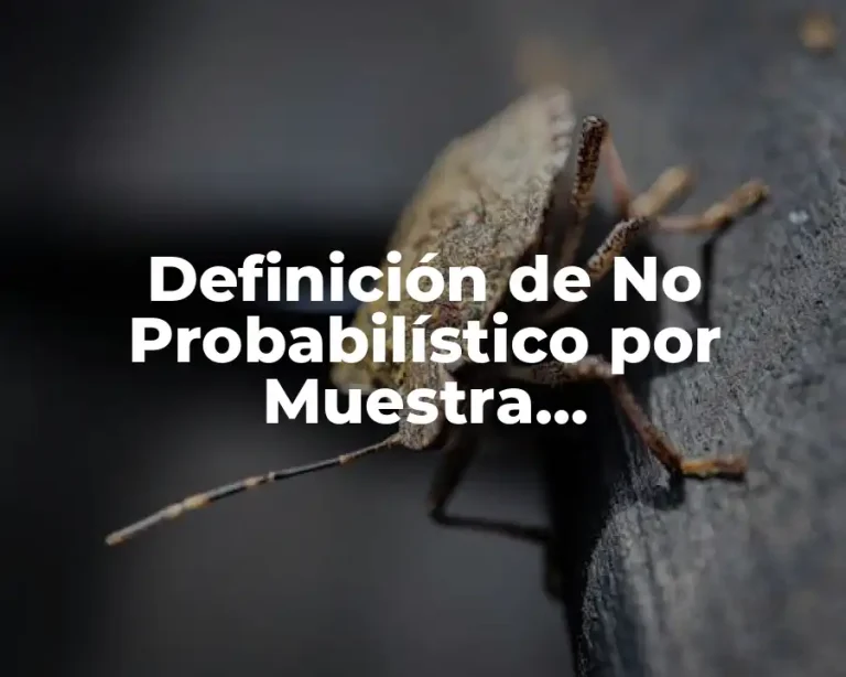 Definición de No Probabilístico por Muestra Estadísticamente