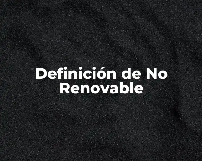 Definición de No Renovable