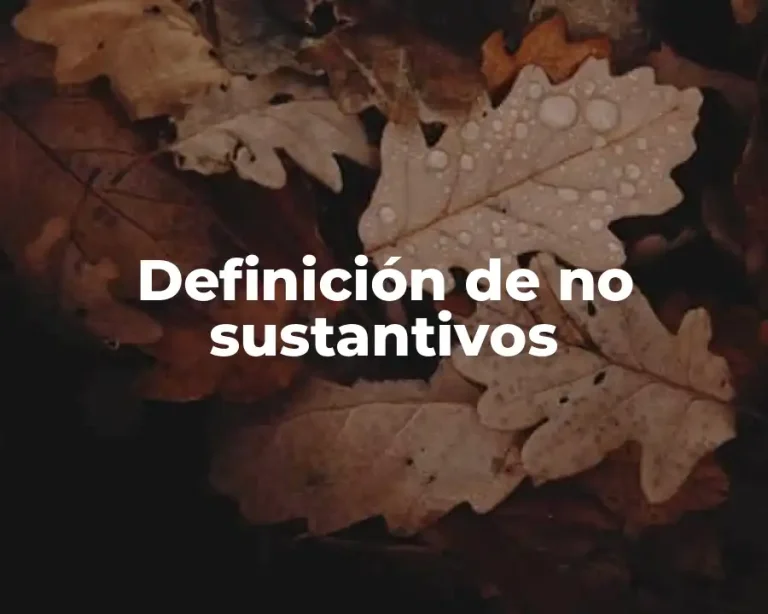 Definición de no sustantivos