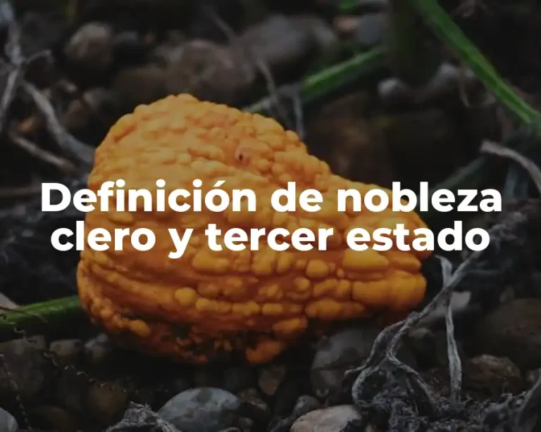 Definición de nobleza clero y tercer estado