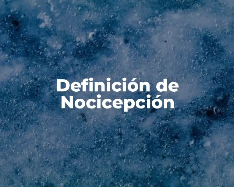 Definición de Nocicepción
