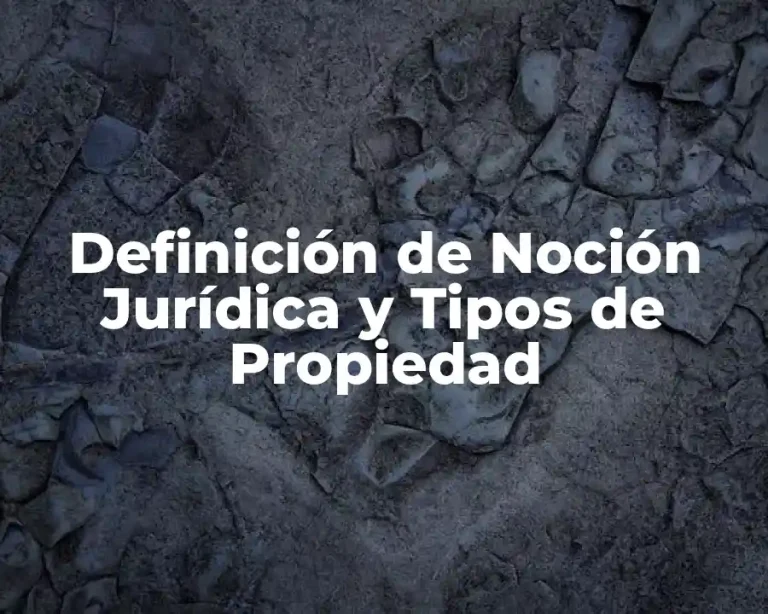 Definición de Noción Jurídica y Tipos de Propiedad