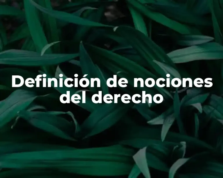 Definición de nociones del derecho