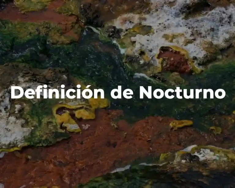 Definición de Nocturno