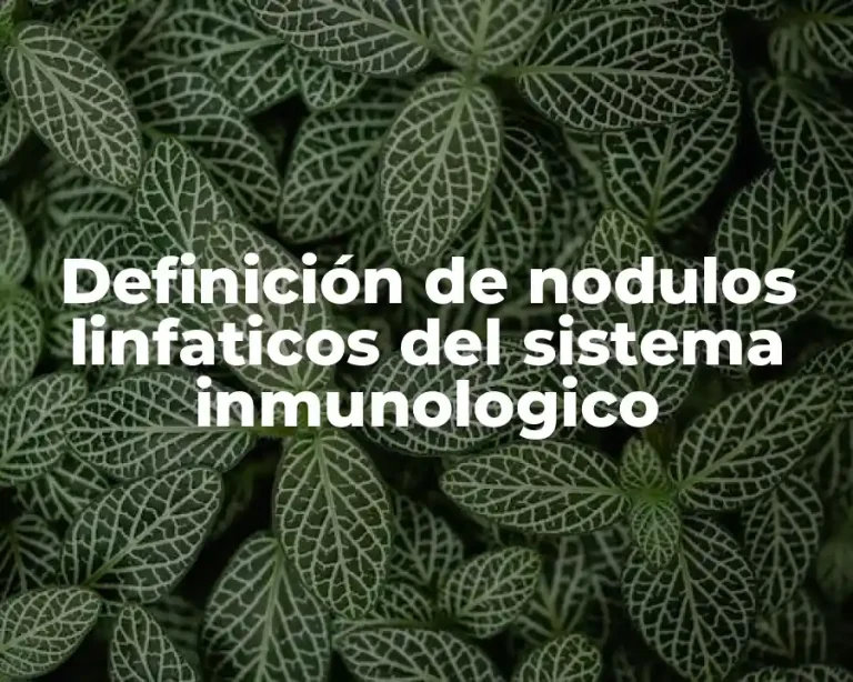 Definición de nodulos linfaticos del sistema inmunologico