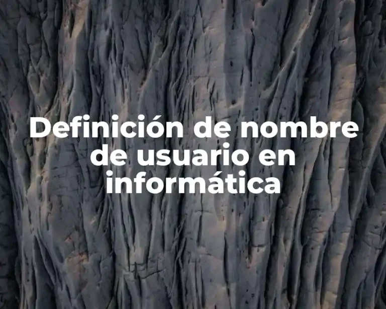 Definición de nombre de usuario en informática