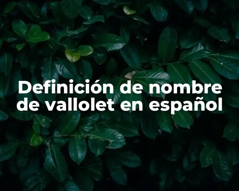 Definición de nombre de vallolet en español