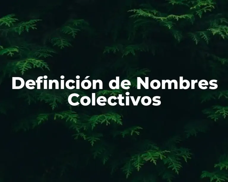Definición de Nombres Colectivos