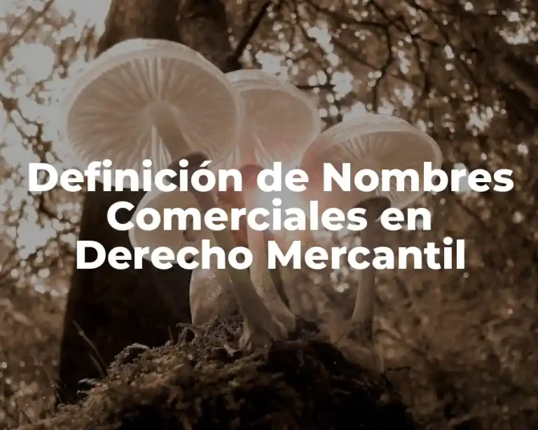 Definición de Nombres Comerciales en Derecho Mercantil