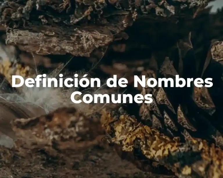 Definición de Nombres Comunes