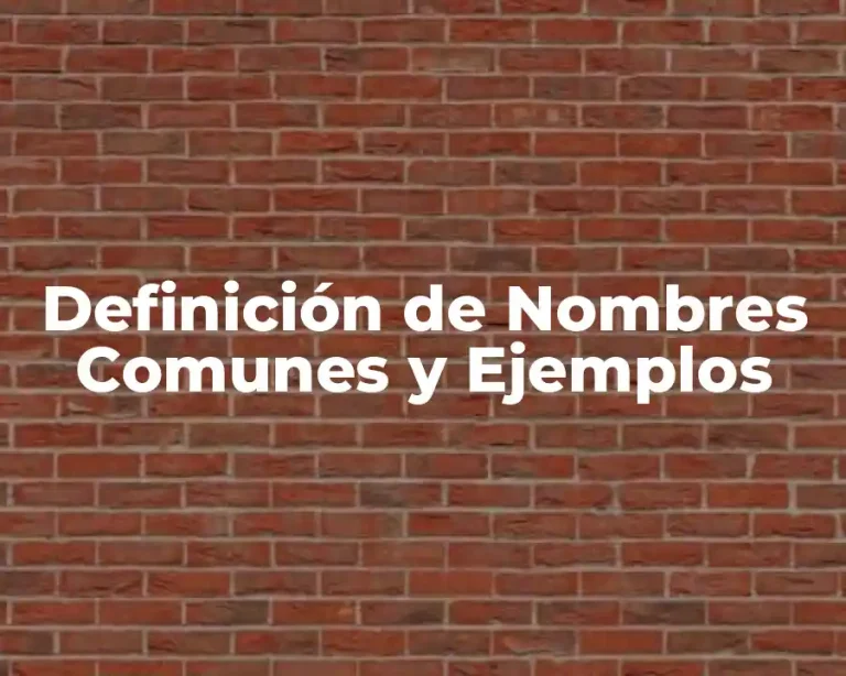 Definición de Nombres Comunes y Ejemplos