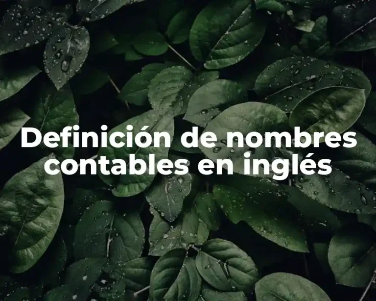 Definición de nombres contables en inglés