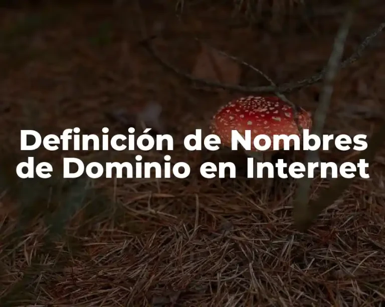 Definición de Nombres de Dominio en Internet