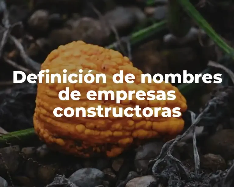 Definición de nombres de empresas constructoras