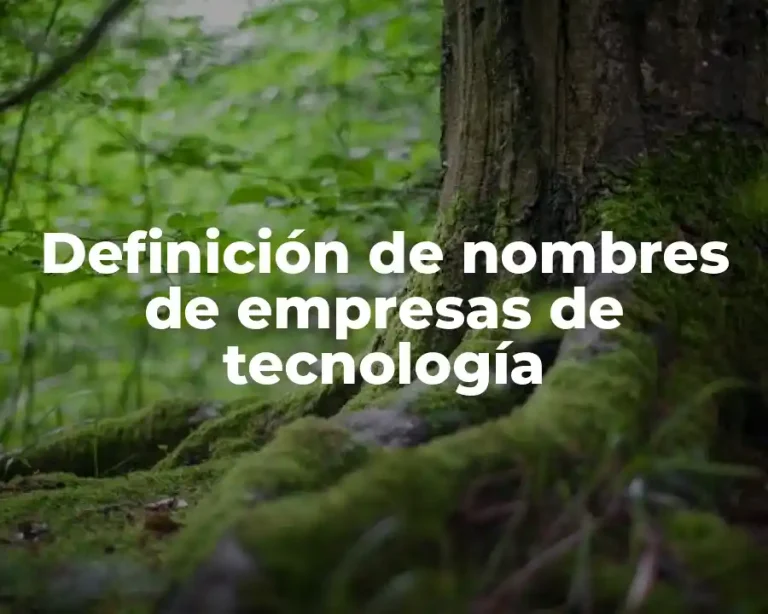 Definición de nombres de empresas de tecnología