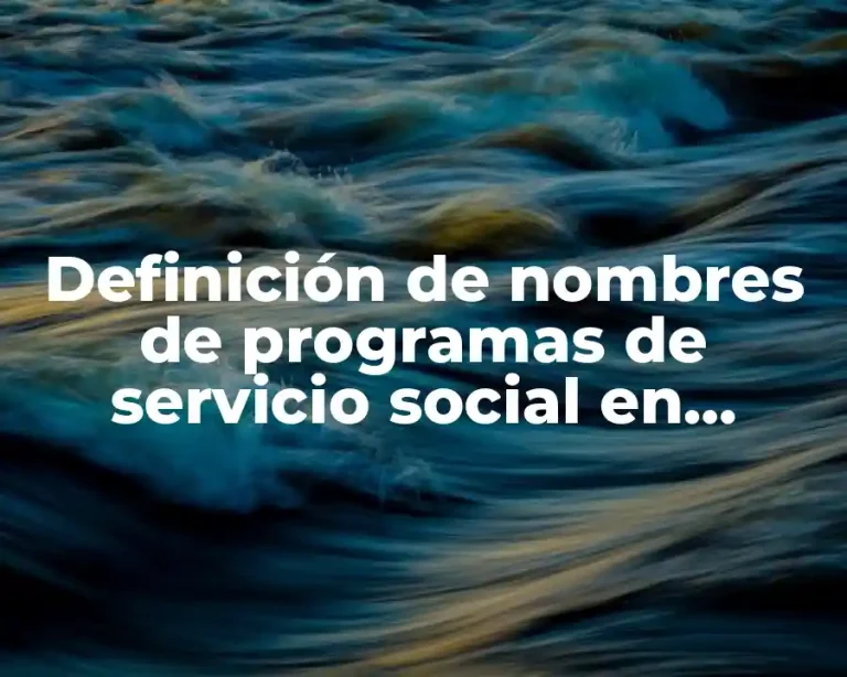 Definición de nombres de programas de servicio social en escuelas