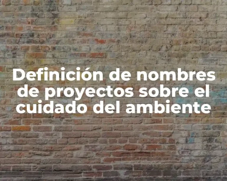 Definición de nombres de proyectos sobre el cuidado del ambiente