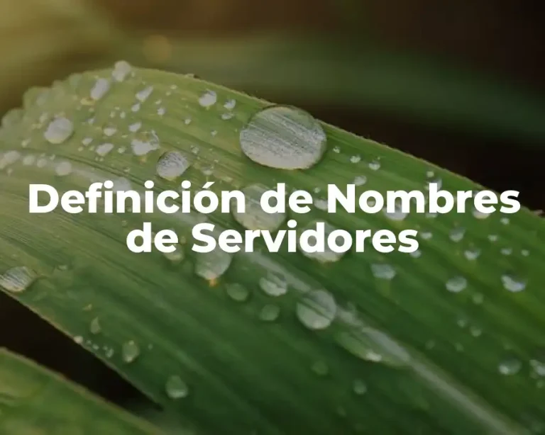 Definición de Nombres de Servidores
