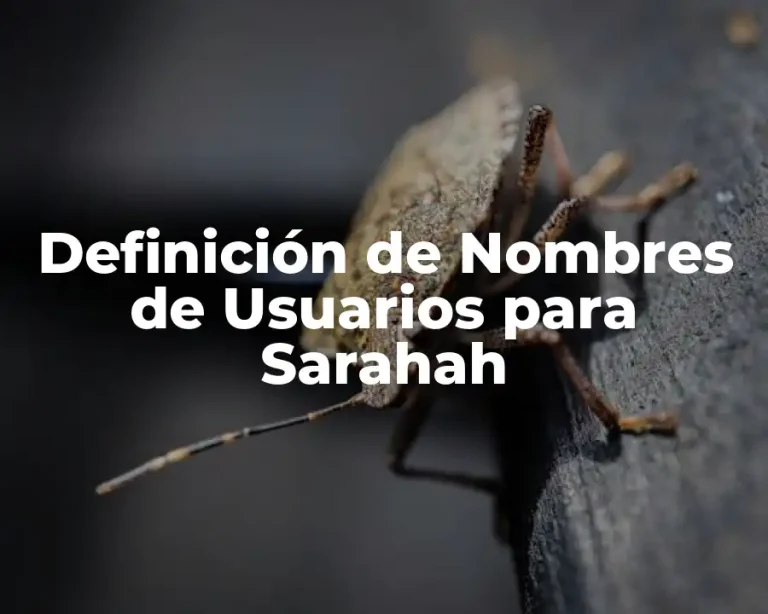 Definición de Nombres de Usuarios para Sarahah
