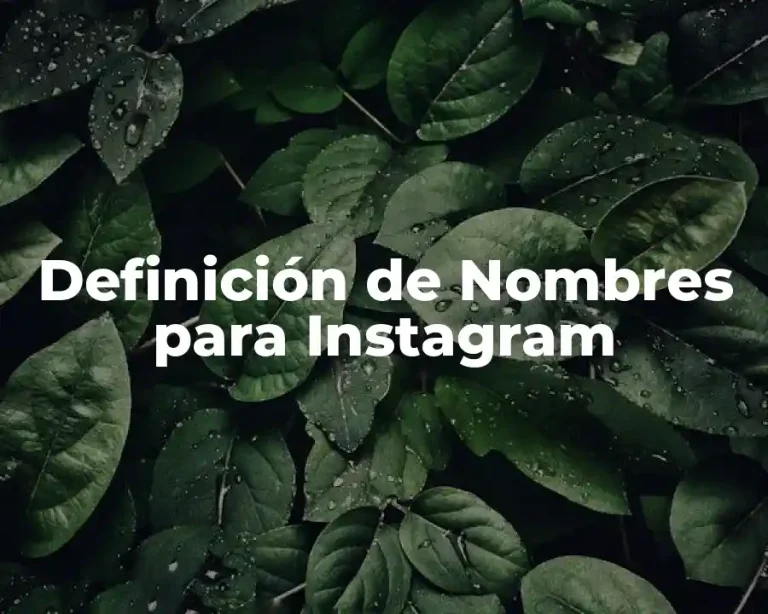 Definición de Nombres para Instagram