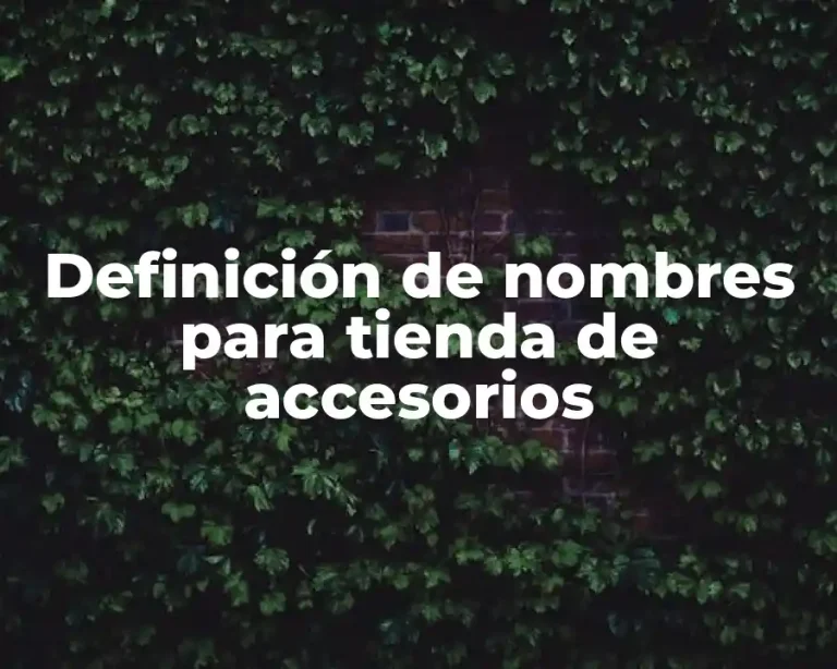 Definición de nombres para tienda de accesorios