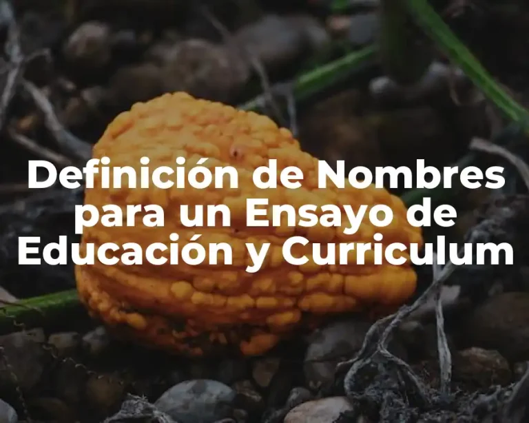 Definición de Nombres para un Ensayo de Educación y Curriculum