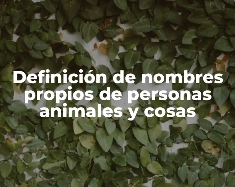 Definición de nombres propios de personas animales y cosas