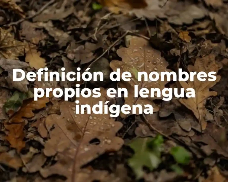 Definición de nombres propios en lengua indígena