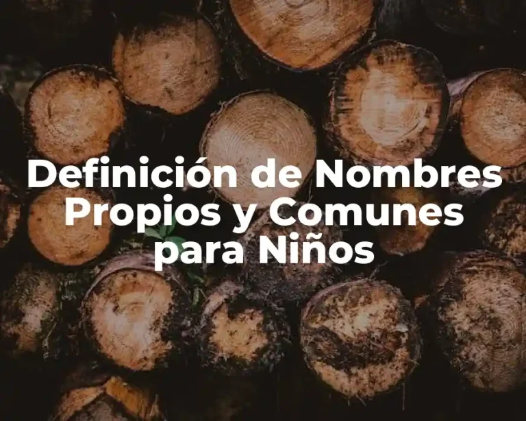 Definición de Nombres Propios y Comunes para Niños